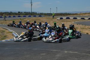 Junior 2 Briggs 206